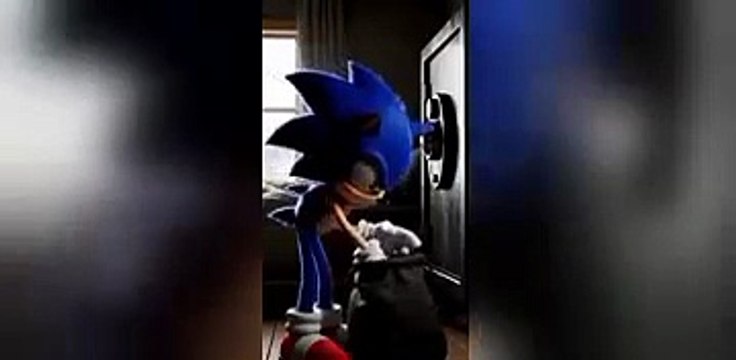 Sonic funny