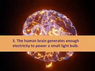 10 Funny Facts About the Brain 🧠 | Weird Things Your Mind Does Every Day!  Caption / Description: Your brain is full of surprises — and a few laughs too! 😄 Here are 10 funny and fascinating facts about how your brain actual Reacts | DIY videos | crafts