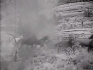 Classic Romantic Western: The Return of Wildfire (1948)