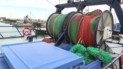 Pêche à la crevette : plus d’optimisme avant la fin de la saison