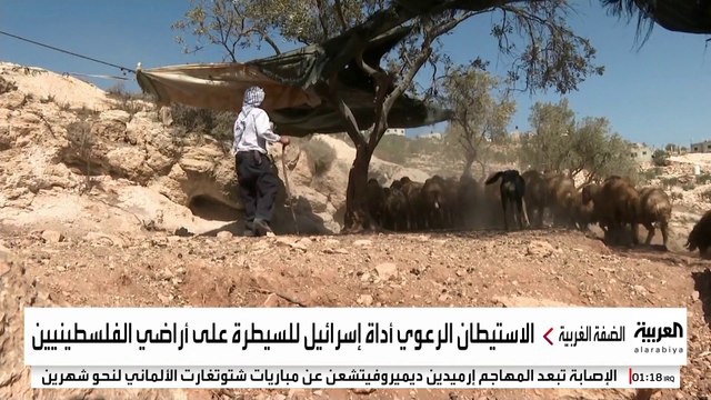 المستوطنون يستولون على 480 ألف دونم من الأراضي الفلسطينية في الضفة بعد 7 أكتوبر