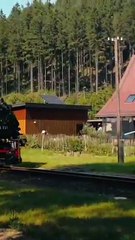 La fiebre del riel cómo el Reino Unido casi se descarrila en 1846 - Cronoscopio (360p, h264)