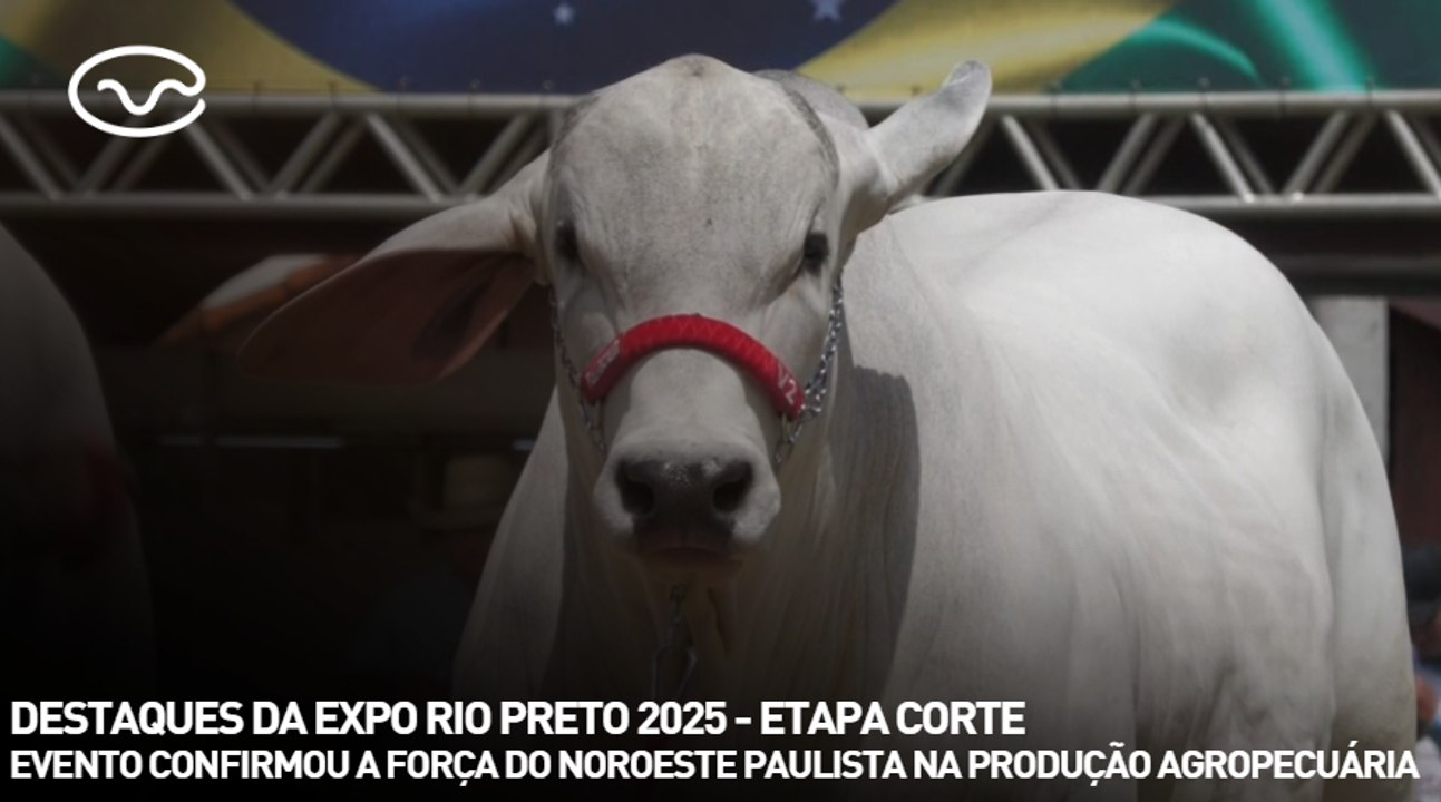 Destaques da Expo Rio Preto 2025 - etapa corte
