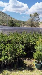 Arca Continental inaugura cisterna comunitaria en Cañón de San Lorenzo