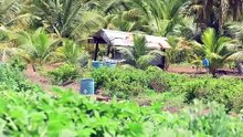 BUDGET STAKEHOLDERS: NIS, AGRI & TOURISM