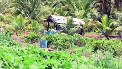 BUDGET STAKEHOLDERS: NIS, AGRI & TOURISM