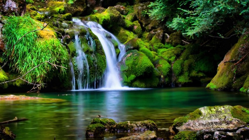 Soothing Nature Therapy Music for Deep Sleep