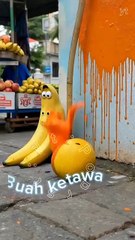 Comedy fruits funny cute