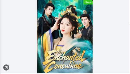 The Enchanted Concubine
