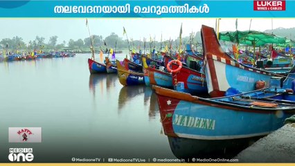 തലശ്ശേരി മേഖലകളിൽ മത്സ്യത്തൊഴിലാളികൾക്ക് തലവേദനയായി ചെറുമത്തി; ആശങ്ക അറിയിച്ച് മത്സ്യത്തൊഴിലാളികൾ