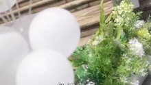 【短剧合集】 闺蜜网恋我奔现，炮灰女配要翻盘