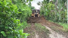 Restoring Plantation Road Conditions with D6R XL Bulldozer Service