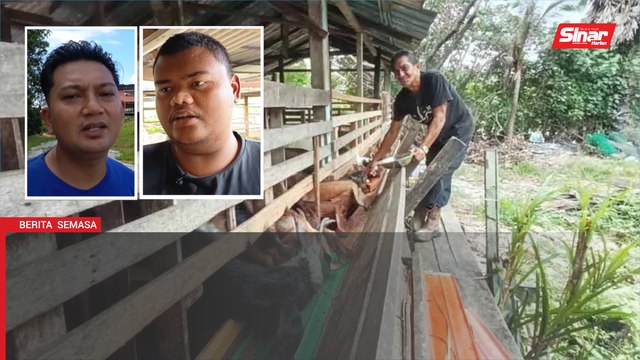 Menjelang Belanjawan 2026: Bantu tangani kos makanan ternakan