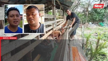 Menjelang Belanjawan 2026: Bantu tangani kos makanan ternakan