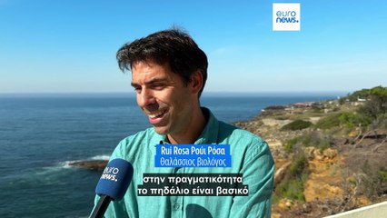 Ειδήσεις | 7 Οκτωβρίου 2025 - Πρωινό δελτίο