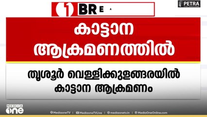 തൃശൂർ വെള്ളിക്കുളങ്ങരയിൽ കാട്ടാനയാക്രമണത്തിൽ ആദിവാസി യുവാവിന് പരിക്ക്