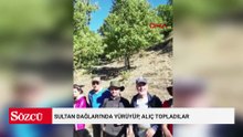 Sultan Dağları'nda yürüyüp, alıç topladılar