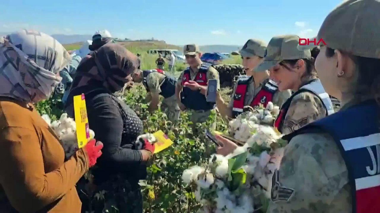 Jandarma, tarlada pamuk topladı; kadınlara KADES’i anlattı