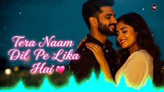 Tera Naam Dil Pe Likha Hai 💞 | Heart Touching Hindi Love Song 2025 | Romantic Feel Song | Tune Trib