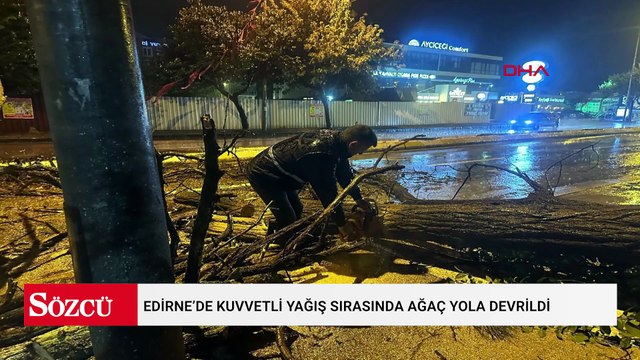 Edirne’de kuvvetli yağış sırasında ağaç yola devrildi