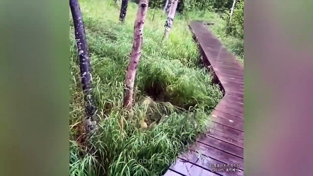 Try Not To Laugh 🤣 Top 100 Funniest Videos Ever 😆😂 Memes, Epic Fails & Pranks Compilation # funny video