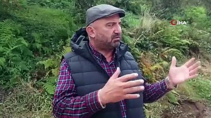 Vatandaşı canından bezdiren istila kamerada: Evlerde, araçlarda her yerde onlar var!