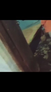 Red light area of India