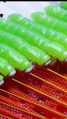 marathon dispo gratuitement