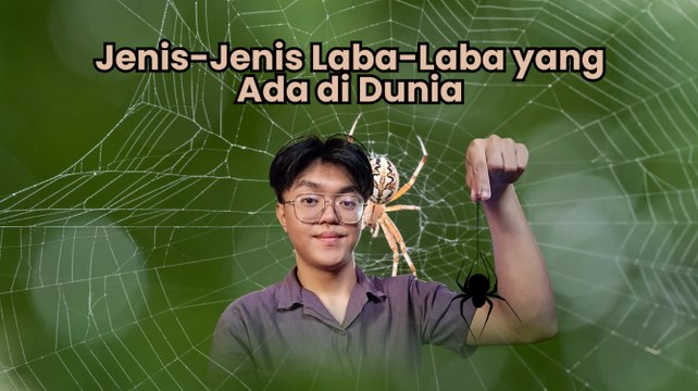 Mengenal Jenis Laba-laba yang Ada di Dunia-Serius Ini Hewan?