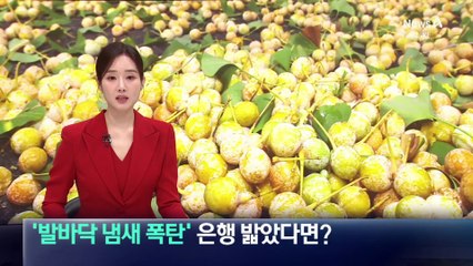 ‘발바닥 냄새 폭탄’ 은행 밟았다면?
