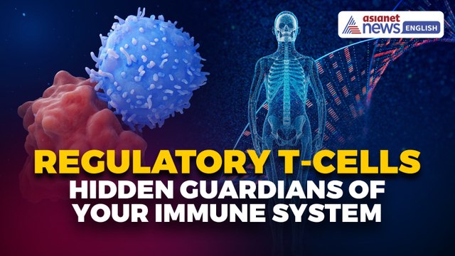 What are Regulatory T-Cells? Nobel for Breakthrough Discovery of Immune System's 'Security Guards'