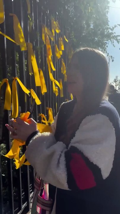 Anger as woman filmed cutting down ribbons from London memorial for Israeli hostages