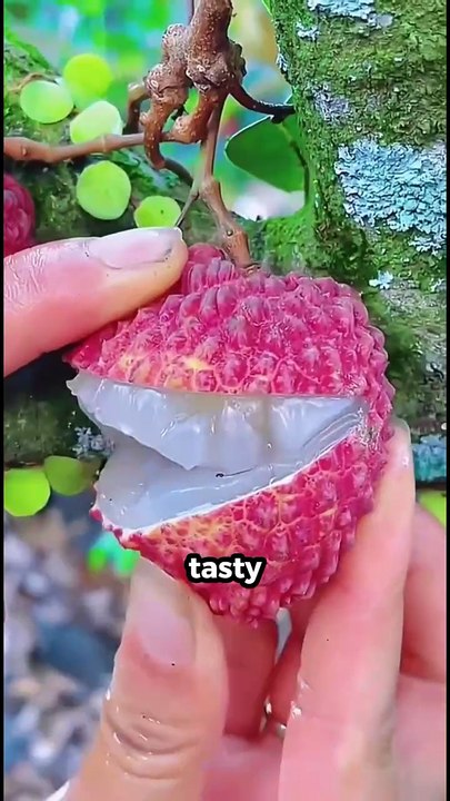 Fruit Facts You Didn't Know! #facts #shorts #viral