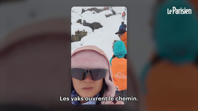 Everest : des centaines alpinistes bloqués dans une tempête de neige