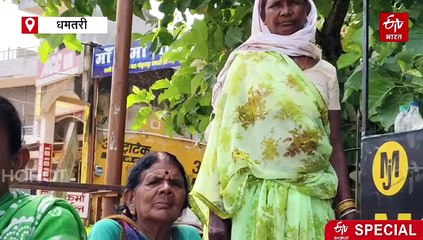 धमतरी के बरारी गांव में हर घर में सीताफल का पेड़, गंगरेल के चट्टानी क्षेत्र के कस्टर्ड एप्पल की मिठास है खास