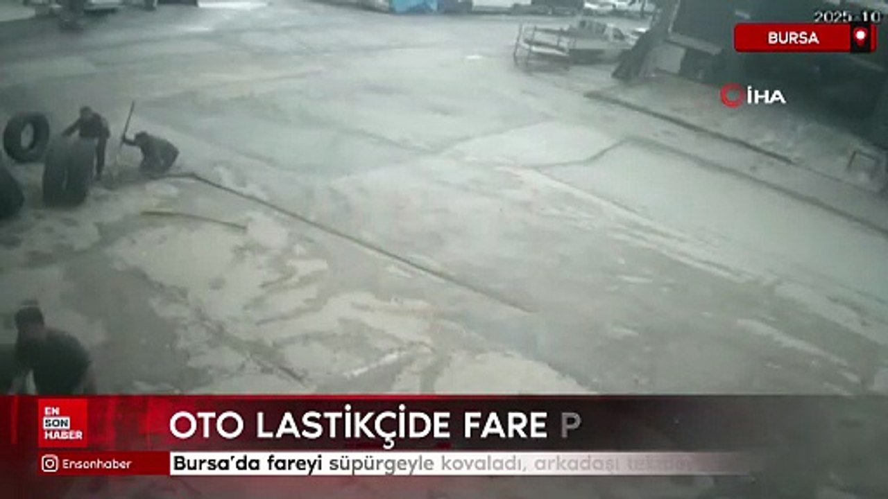 Bursa’da fareyi süpürgeyle kovaladı, arkadaşı tekmeyle uzaklaştırdı