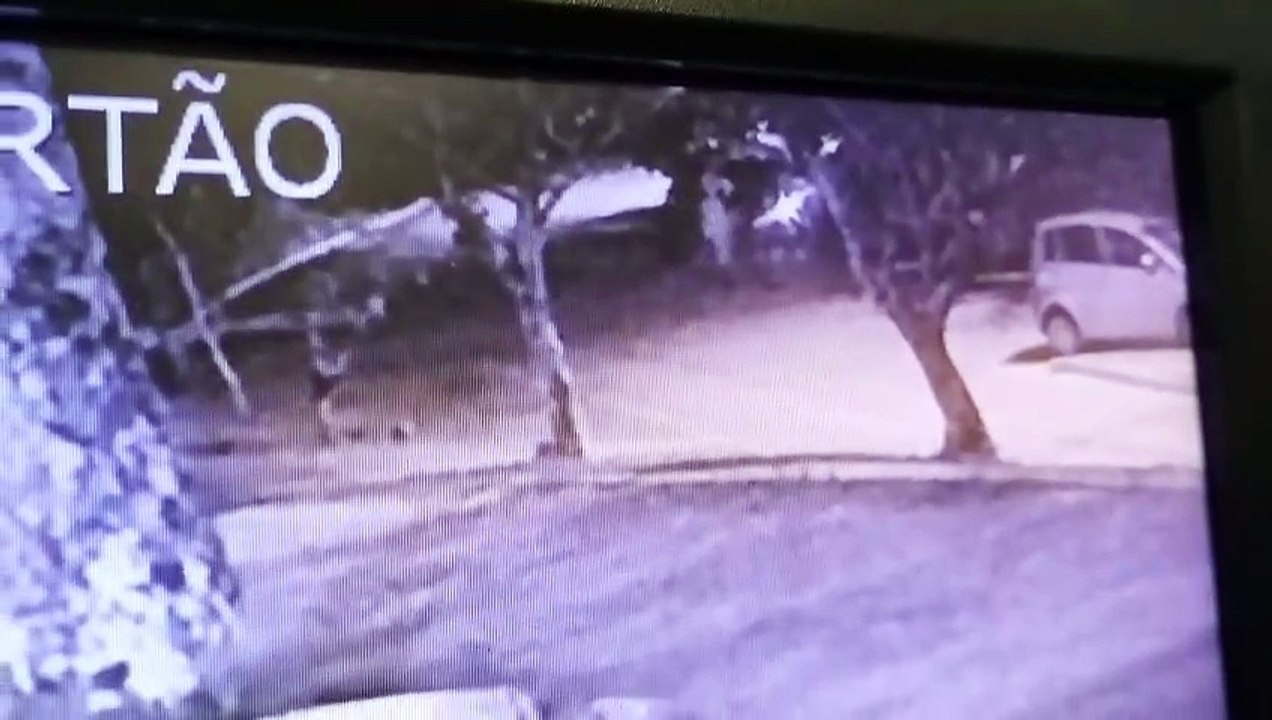 Câmeras registram momento em que alunas são assaltadas na UFSC em Florianópolis