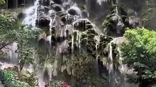 L’une des plus belles cascades du Mexique 🇲🇽 avec betsytreejo (TikTok)