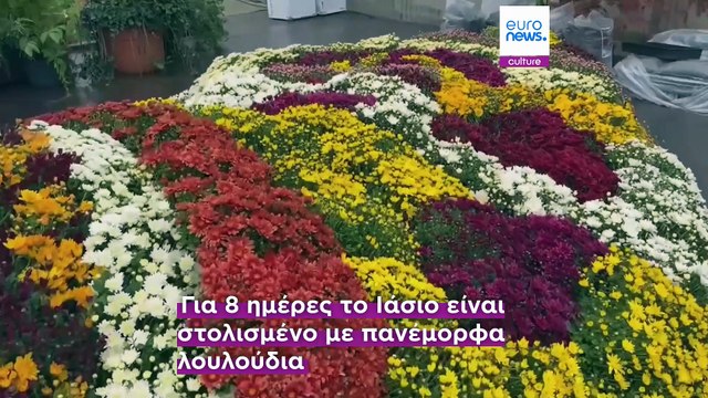 Ιάσιο: Λαοθάλασσα στο προσκύνημα της Αγίας Παρασκευής