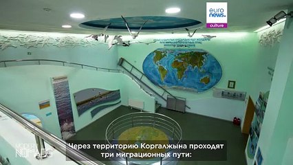 Откройте для себя Коргалжынский заповедник: Убежище тысяч фламинго в Казахстане
