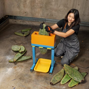Sustainable & Stylish! 🌵 Turning a cactus into a ECO leather ♻️ #ecofriendly #cactus #fyp #sustainable #craft