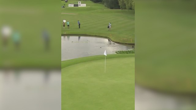 Según el torneo el mejor slam dunk chip-in de su historia: Guardiola consigue un golpe mágico en el golf que acumula más de 2M de visitas