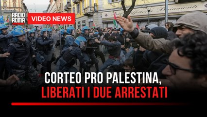 Corteo pro Palestina, liberati i due arrestati