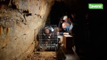 La cave à vin naturelle : 500 bouteilles du domaine Lamsoul reposent dans les Grottes de Hotton