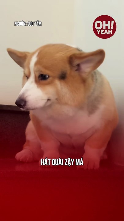 hát quài luôn á