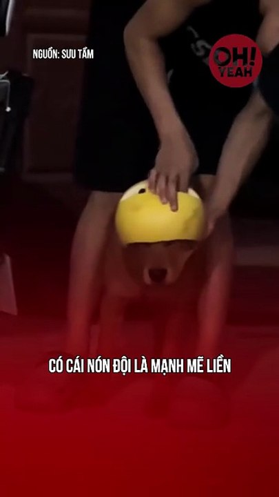 Đội cho cái mũ thấy cưng gì âu