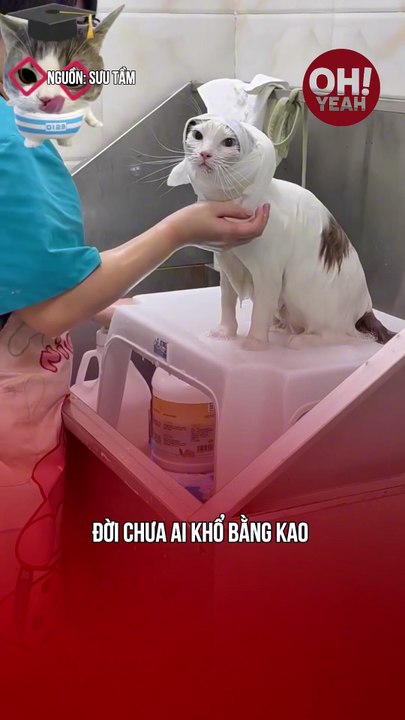 Kao khổ quá mà bây ơi