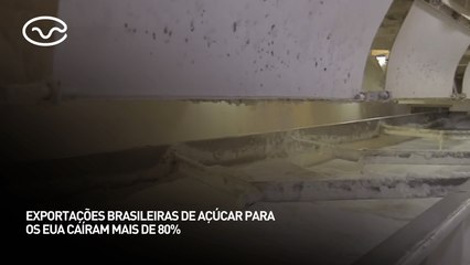 Exportações brasileiras de açúcar para os EUA caíram mais de 80%