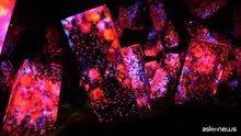 TeamLab apre a Kyoto il suo primo museo permanente in Giappone