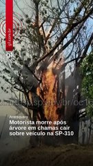 Accidente de vehículo en autopista